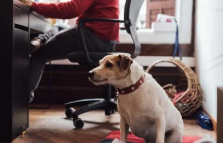 b9lab-foto-corporativa-15