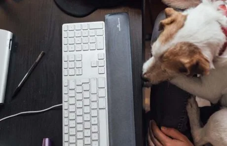 b9lab-foto-corporativa-26