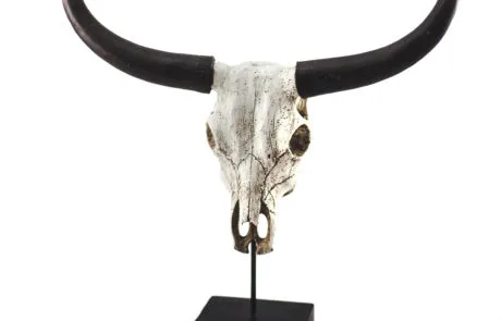 foto producto blixt 01