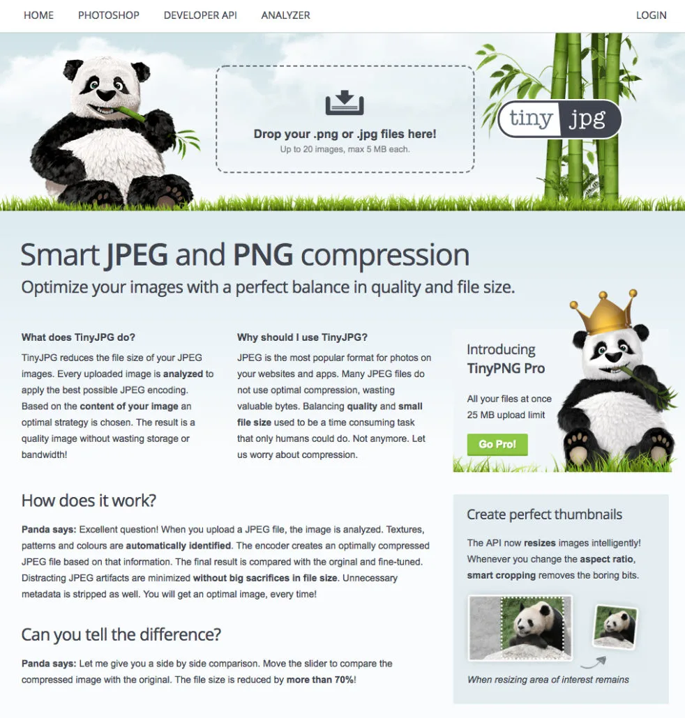 optimizar-imagenes-web-05-982×1030